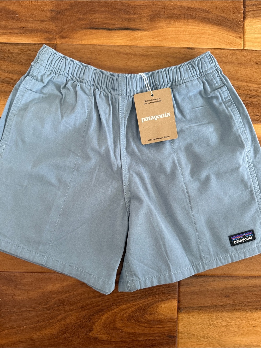 Patagonia Light Blue Kids Shorts